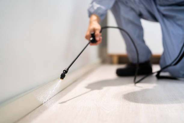 Bed Bug Pre-Treatment Preparation Assessment in Reiffton