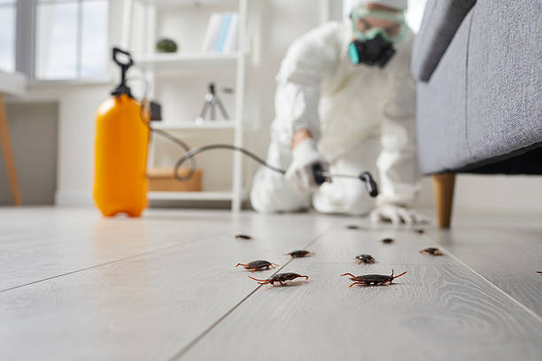 Post-Treatment Bed Bug Interceptor Monitoring in Reiffton
