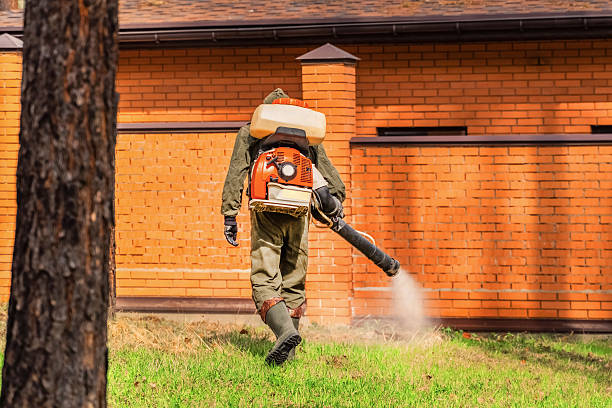 Bed Bug Clearance Verification and Documentation in Reiffton